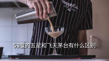 53度的五星和飛天茅臺(tái)有什么區(qū)別