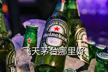 飛天茅臺哪里好