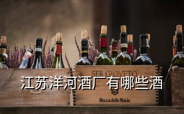 江蘇洋河酒廠有哪些酒