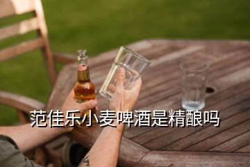 范佳樂小麥啤酒是精釀嗎