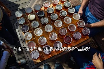 啤酒廠廢水處理專用聚丙烯酰胺哪個(gè)品牌好