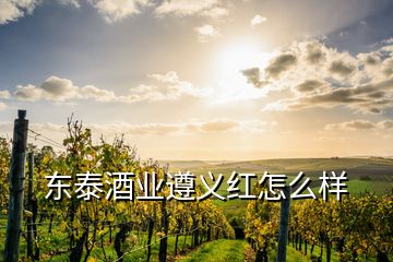 東泰酒業(yè)遵義紅怎么樣