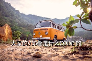 大家的V35都是什么CODE 的