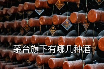 茅臺(tái)旗下有哪幾種酒