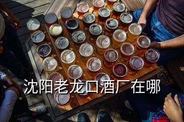 沈陽(yáng)老龍口酒廠在哪