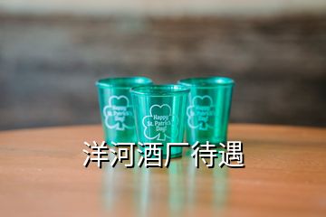 洋河酒廠待遇