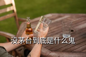 沒茅臺(tái)到底是什么鬼