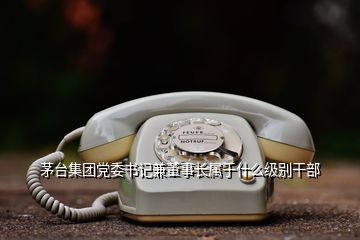 茅臺集團黨委書記兼董事長屬于什么級別干部