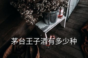 茅臺(tái)王子酒有多少種