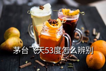 茅臺飛天53度怎么辨別