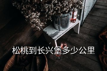 松桃到長(zhǎng)興堡多少公里