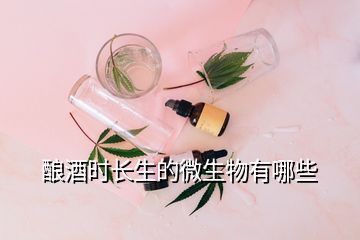 釀酒時(shí)長(zhǎng)生的微生物有哪些