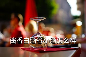 醬香白酒谷小酒怎么樣