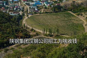 陜鋼集團(tuán)漢鋼公司招工為啥收錢