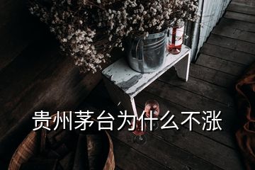 貴州茅臺為什么不漲