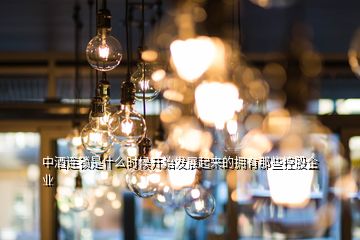 中酒連鎖是什么時(shí)候開始發(fā)展起來的擁有那些控股企業(yè)