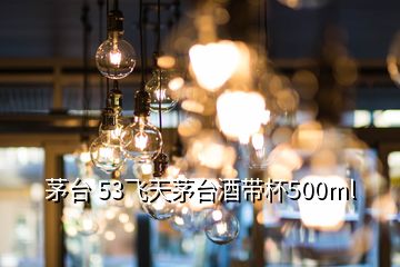 茅臺 53飛天茅臺酒帶杯500ml