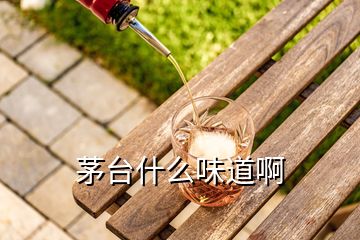 茅臺(tái)什么味道啊