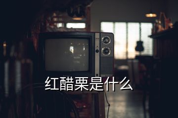 紅醋栗是什么