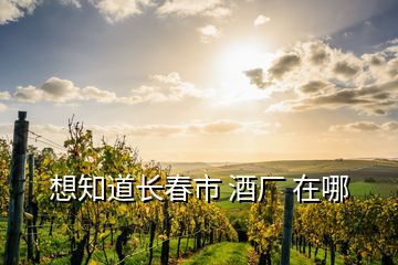 想知道長春市 酒廠 在哪