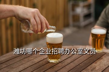 濰坊哪個企業(yè)招聘辦公室文員