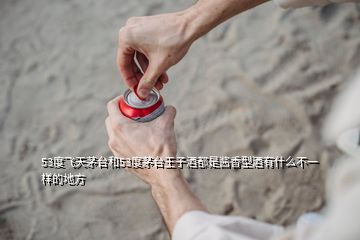 53度飛天茅臺(tái)和53度茅臺(tái)王子酒都是醬香型酒有什么不一樣的地方