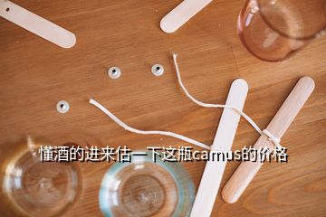 懂酒的進來估一下這瓶camus的價格