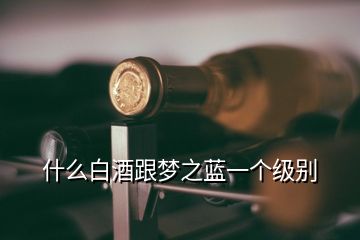 什么白酒跟夢(mèng)之藍(lán)一個(gè)級(jí)別