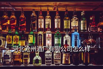 河北滄州酒廠有限公司怎么樣