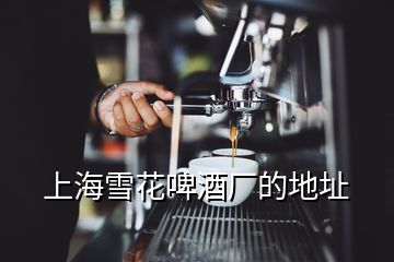 上海雪花啤酒廠的地址