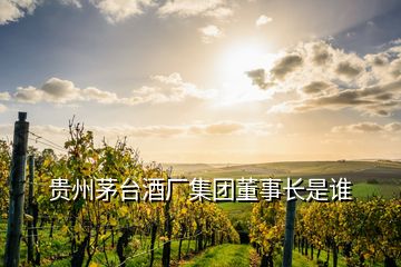 貴州茅臺(tái)酒廠集團(tuán)董事長(zhǎng)是誰(shuí)