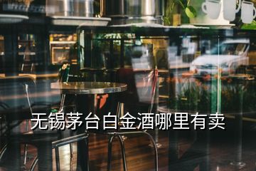 無錫茅臺(tái)白金酒哪里有賣