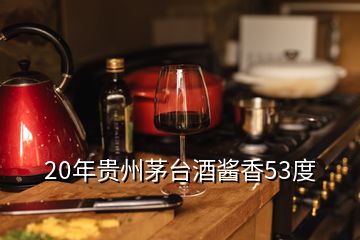 20年貴州茅臺酒醬香53度