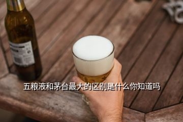 五糧液和茅臺最大的區(qū)別是什么你知道嗎