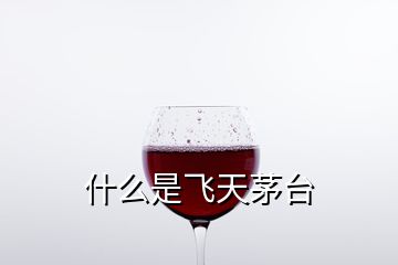 什么是飛天茅臺(tái)