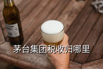 茅臺集團稅收歸哪里