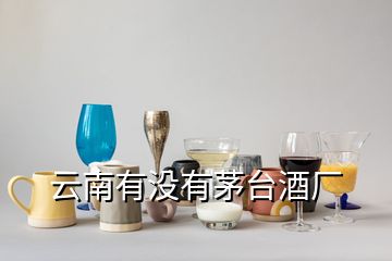 云南有沒有茅臺酒廠