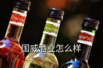 國威酒業(yè)怎么樣