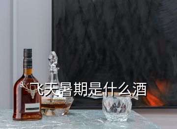 飛天暑期是什么酒