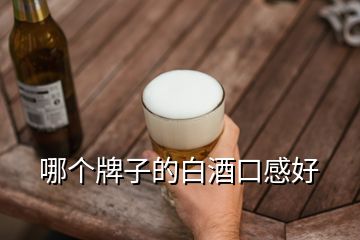 哪個牌子的白酒口感好