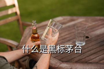 什么是黑標(biāo)茅臺