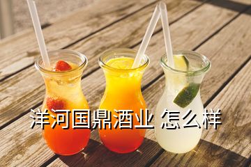 洋河國(guó)鼎酒業(yè) 怎么樣