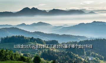 以現金10萬元支付職工工資10萬屬于哪個會計科目