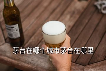 茅臺(tái)在哪個(gè)城市茅臺(tái)在哪里