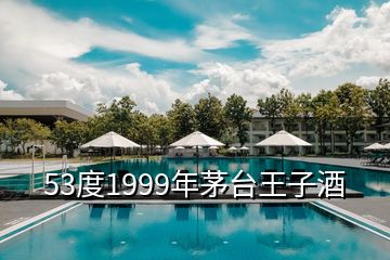 53度1999年茅臺王子酒