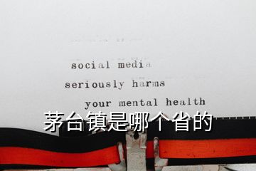 茅臺鎮(zhèn)是哪個省的