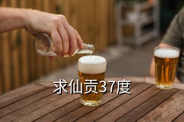 求仙貢37度