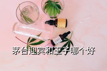 茅臺迎賓和王子哪個(gè)好