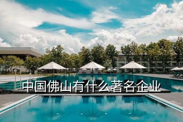 中國佛山有什么著名企業(yè)