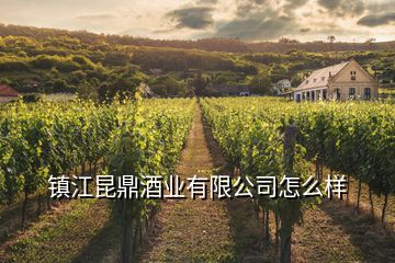 鎮(zhèn)江昆鼎酒業(yè)有限公司怎么樣